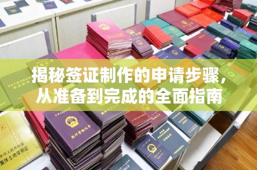 大连揭秘签证制作的申请步骤，从准备到完成的全面指南