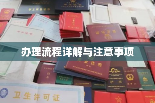 大连办理流程详解与注意事项
